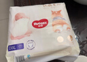 好奇（Huggies）软萌星人柯基裤拉拉裤XXL26片(15kg以上)尿不湿【软糯贴贴】 实拍图