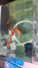 森森（SUNSUN）造浪泵鱼缸水族箱冲浪泵耀蓝造流吹粪便吹鱼便 吸盘款3W 流量调节 适合60cm以下鱼缸 实拍图