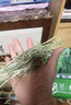 源物派兔子仓鼠提摩西草加拿大进口加提一番精挑杆叶均匀磨牙高纤维500g 实拍图
