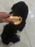 HELLOJOY狗狗拉毛梳泰迪美容蓬松造型猫梳子宠物狗毛猫咪毛梳毛刷针梳用品 实拍图