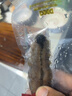 张奶奶大连即食海参2斤25-35头高品质无污染 海鲜水产礼盒 营养好礼 实拍图