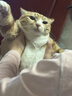 麦富迪猫粮 barf霸弗天然猫粮冻干成猫粮养胃增肌牛肉1.8kg【宠物金选】 实拍图