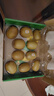 佳沛（zespri）新西兰阳光金奇异果10粒巨大果单果146-175g 猕猴桃水果礼盒 实拍图