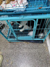 品卓狗粮 爱倍犬儿欢 全价小中型大型犬成幼犬比熊金毛通用粮鸡肉牛肉 囤货装40斤 实拍图