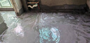 雨虹防水 堵漏王 水不漏 快干水泥 堵漏宝塑钢泥 地漏安装 管根堵漏 4KG 实拍图