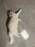 皇家幼猫猫粮 幼猫奶糕 K36 通用粮 4-12月 10KG 实拍图