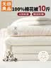 无印良品A类100%新疆棉花被子 被芯棉被10斤 200*230cm 实拍图