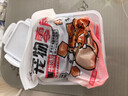 HELLOJOY狗狗零食宠物泰迪金毛幼犬成犬训练奖励 营养牛肉粒2.7斤 实拍图