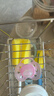 新安怡（AVENT）飞利浦新安怡安抚奶嘴0到3-6个月一岁以上新生婴儿防胀气宝宝硅胶 实拍图