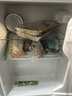新飞冰箱小型租房用 一级能效冷 藏冷冻两用1-2人家用小冰箱 出租房双门电冰箱办公室两门 26年升级 66A一级能效【保温升级】银 实拍图
