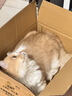 pidan混合猫砂 豆腐膨润土皮蛋猫砂除臭遮臭结团快经典款2.4kg*4包 实拍图