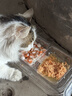 顽皮（Wanpy）果饭儿畅轻系列全价猫粮鸡肉三文鱼口味10kg 护肠营养主食干粮 实拍图