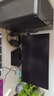微星（MSI） i5 12400F/14400F/RTX3060/4060/5060Ti黑悟空三角洲游戏主机电脑台式机组装电脑主机DIY整机 配置六 i5 12400F丨RTX3060 12G 实拍图