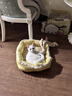 阿柴与猫猫包外出便携超大号双肩背包猫咪狗狗宠物包手提车载笼可折叠猫袋 实拍图