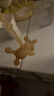 马博士婴儿牙胶安抚小蘑菇牙胶宝宝牙咬胶玩具防吃手牙胶 小兔子 实拍图
