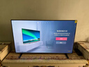 东芝电视小芝士55Z600QF PRO 55英寸 高画质Mini LED 火箭炮音响 288Hz 4K柔光防眩屏家电国家补贴 实拍图