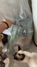京东京造猫粮鸡肉味全价成猫粮10kg三文鱼肉营养美毛长肉质检流浪救助 实拍图