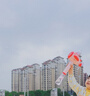 爸爸妈妈电动泡泡机泡泡枪儿童玩具全自动手持风车泡泡棒1-3岁生日礼物 实拍图