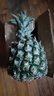 广东徐闻香水菠萝新鲜水果生鲜热带孕妇水果整箱包邮 【限时低价】1个装  净重650g起 实拍图