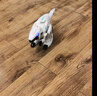 京达玩具遥控恐龙玩具电动霸王龙机器人男孩玩具儿童六一儿童节礼物 实拍图