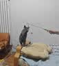 灵宠物语猫玩具逗猫棒铃铛羽毛自嗨解闷猫薄荷球幼小猫咪耐咬宠物用品 实拍图