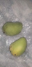 京喜加海南鲜芒果小台水果芒果新鲜上市 带箱1斤【单果70g+】净重0.8斤 实拍图