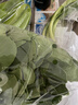 上海青约500g(油菜) 实拍图