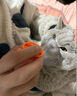 辉鹏猫鼻支雾化药猫咪杯状狗感冒肺炎喷嚏咳嗽窝咳宠物雾化液治疗套餐 （庆大+地米+林可）* 10支*1盒 宠物雾化药 实拍图