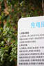 索尼（SONY）E 55-210mm APS-C画幅远摄大变焦微单相机镜头 黑色E卡口 SEL55210 实拍图