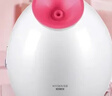 金稻蒸脸仪美容仪器面部喷雾补水仪蒸汽机加湿器热喷蒸脸器Q版便携面膜搭档KD233便携520礼物价保618 实拍图