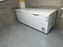 雪贝娜冰柜商用大容量全冷冻家用双温卧式冷柜展示柜 1388单温智能温控【一级能效】 实拍图