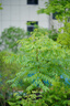 腾龙（Tamron）A065S 70-180mm F/2.8 Di III VC VXD G2二代防抖大光圈长焦变焦全画幅微单镜头(索尼全幅E口) 实拍图