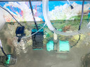 创宁鱼马桶鱼缸粪便分离器鱼粪收集器自动吸便上滤底滤鱼缸过滤器 第三代小号（适合鱼缸水深：30-40cm） 实拍图