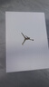 耐克（NIKE） air jordan 1 耐克男鞋春季新款女鞋aj1低帮板鞋休闲篮球鞋 DC0774-101 黑白熊猫 38 实拍图