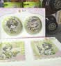 果子熟了【第五人格联名】多多柠檬茶 青柠味500ml*8瓶【赠全套周边】 实拍图