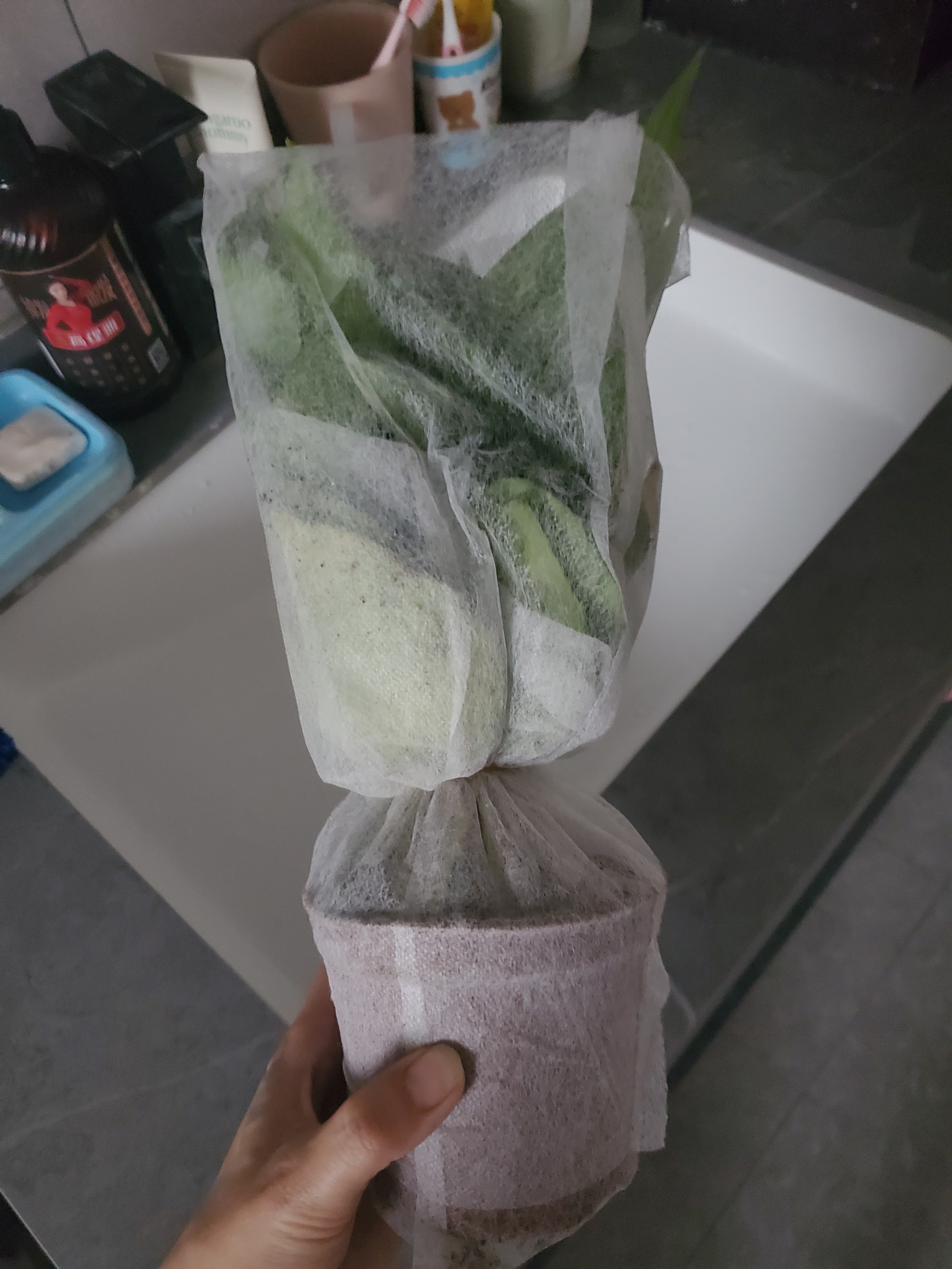 【绿萝盆栽】吸甲醛净化空气水培绿植物懒人花卉好养搬家礼物全 【1盆】绿萝+原盆原土 整体含盆高度20-25cm 实拍图