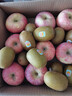 佳沛（zespri）新西兰 阳光金果25-27粒原箱特大果单果124-146g 猕猴桃水果礼盒 实拍图