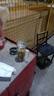 高硼硅双层加厚茶水分离办公杯大容量泡茶杯把手双层加厚茶杯硬厚 钢盖办公杯 400ml 1只 实拍图