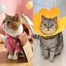 欢宠网伊丽莎白圈猫狗宠物猫咪狗狗绝育项圈软头套脖套防舔防咬脖圈耻辱 实拍图