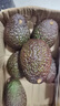 京鲜生 秘鲁非即食牛油果6粒装 单果100-120g 生鲜水果 源头直发 实拍图