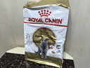 皇家猫粮 英短成猫粮 BS34 通用粮 12月以上 10KG 实拍图