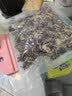 苏紫堂地龙100g/袋 广西钦州 中药饮片 精选无泥 整条全开地龙切段 广地龙干蚯蚓干 食用药用中药材【京东大药房】 实拍图