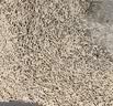 pidan混合猫砂 豆腐膨润土皮蛋猫砂除臭遮臭结团快经典款2.4kg*4包 实拍图