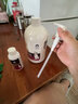 雪貂留香七效合一沐浴露小狗洗澡杀菌除臭持久留香泰迪比熊专用狗狗沐浴液 实拍图