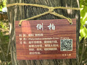 飞利浦（PHILIPS）蓝牙耳机骨传导概念真无线挂耳式开放式不入耳夹式运动跑步长续航高端降噪通用苹果华为TAT5739-白 实拍图