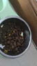 麦富迪狗粮 藻趣儿狗粮成犬粮牛肉螺旋藻 均衡营养2.5kg 实拍图