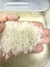 十月稻田 当季新米 特等五常大米 绿色食品 10斤(溯源 原粮稻花香2号 5kg) 实拍图