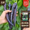 北蔬 尖椒辣椒种子苗紫黑色香辣中早熟四季盆栽菜籽 紫黑尖椒种子15粒 实拍图