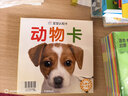 婴幼儿视觉翻翻书（全4册）宝宝脑力训练捉迷藏 宝宝认知藏猫猫早教益智绘本0-3岁幼儿宝宝专注力训练 视觉激发训练视觉锻炼智力开发书 亲子互动游戏早教书 实拍图