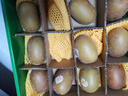 佳沛（zespri）新西兰 阳光金奇异果12粒特大果单果124-146g 猕猴桃水果礼盒 实拍图